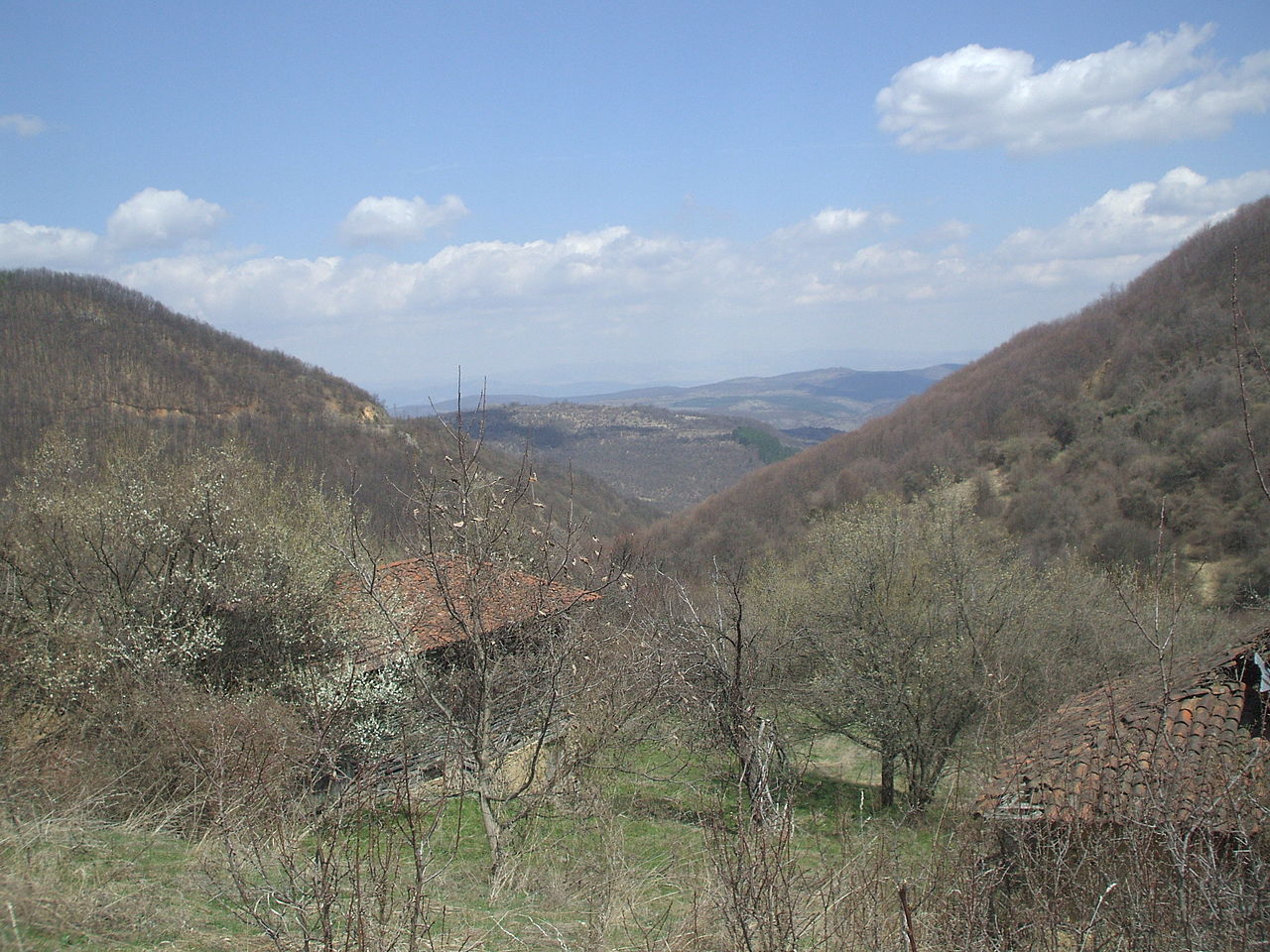 Село Проданча 
