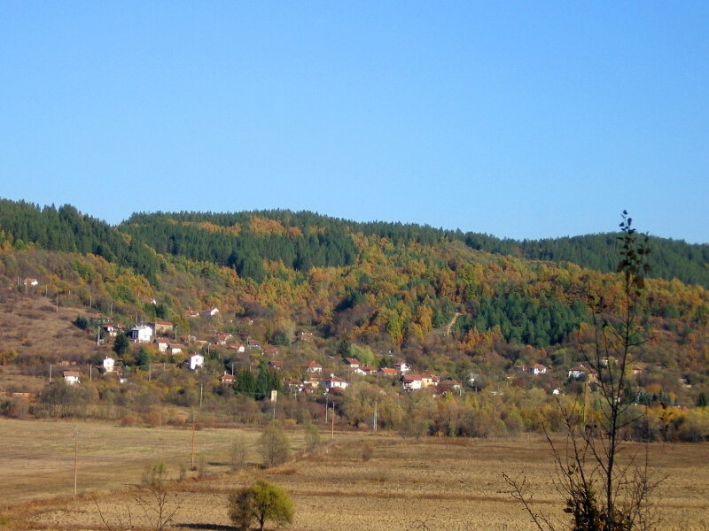 Село Реяновци